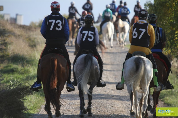 Resultados CEN*, CEN0*, CEAP60 y CEAP40 celebrado en A&ntilde;ezcar